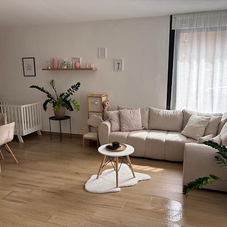 Modern Lux Home Szeged Exteriör bild
